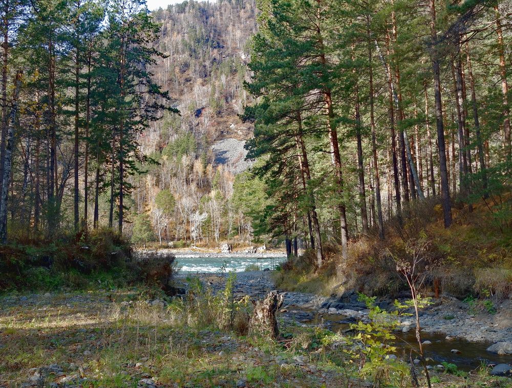 Photograph by Сергей Гребенников