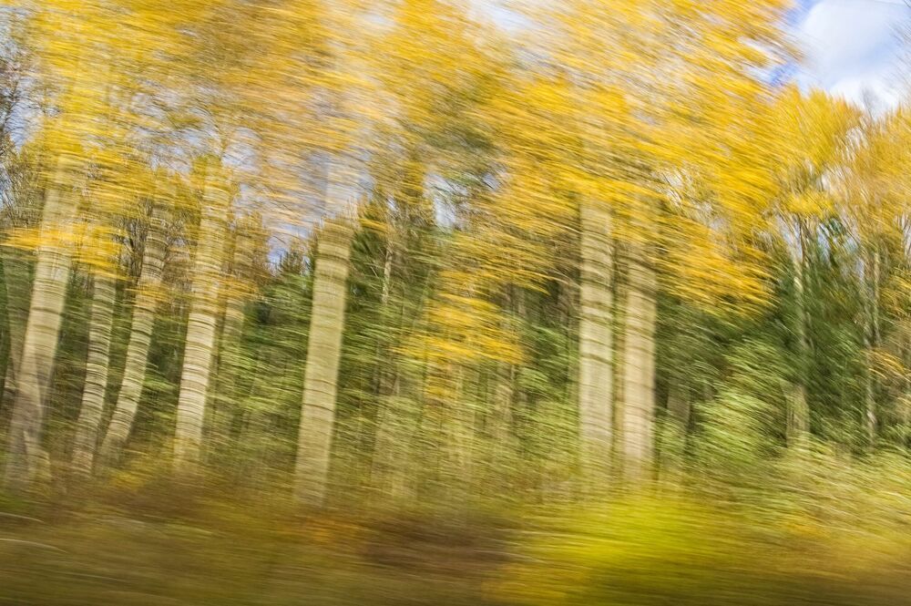 Photograph by Boeva Yuliya