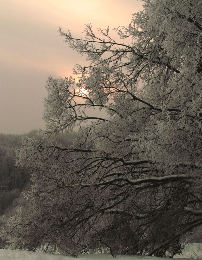 Photograph by Tatyana Markova