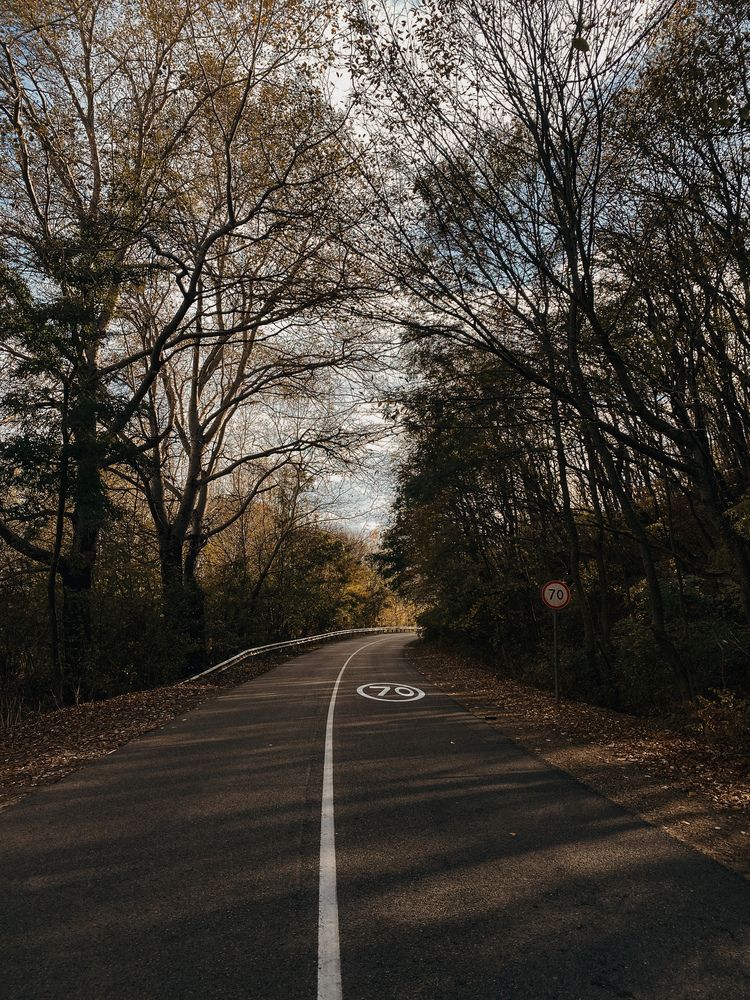 Photograph by Анна Голубцова