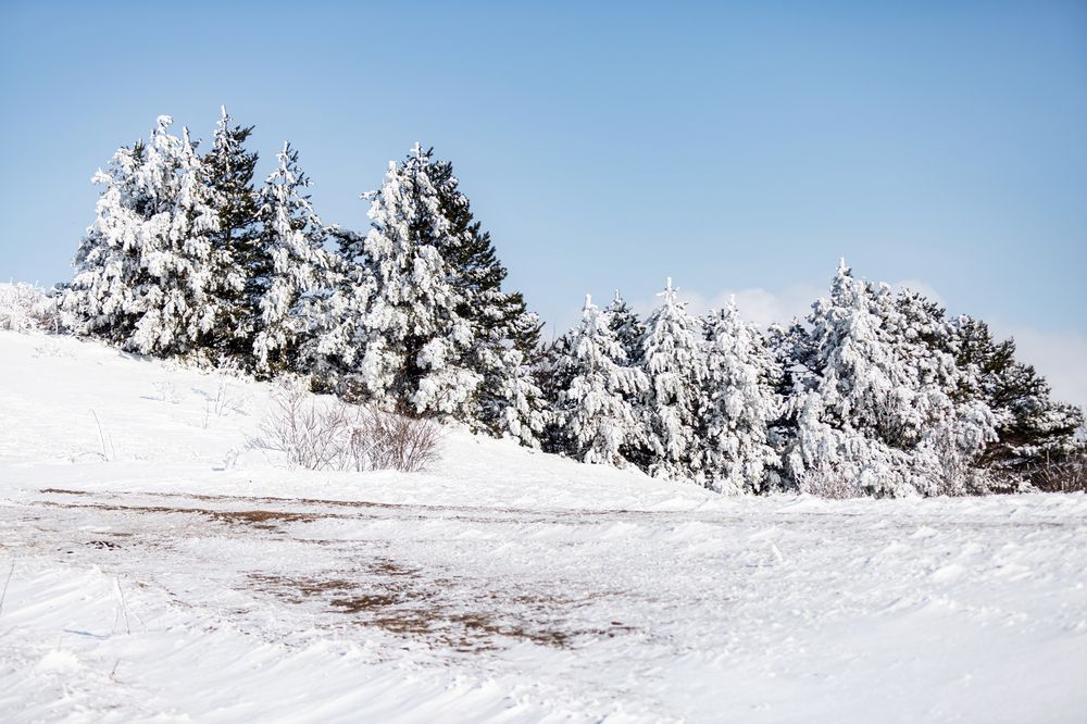 Photograph by Константин Аношин