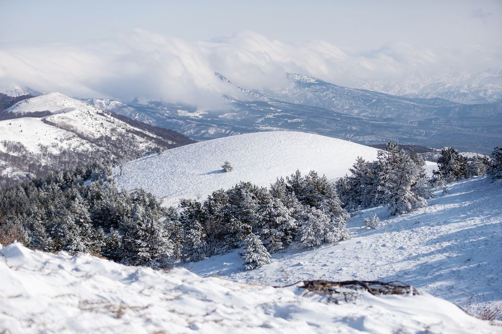 Photograph by Константин Аношин