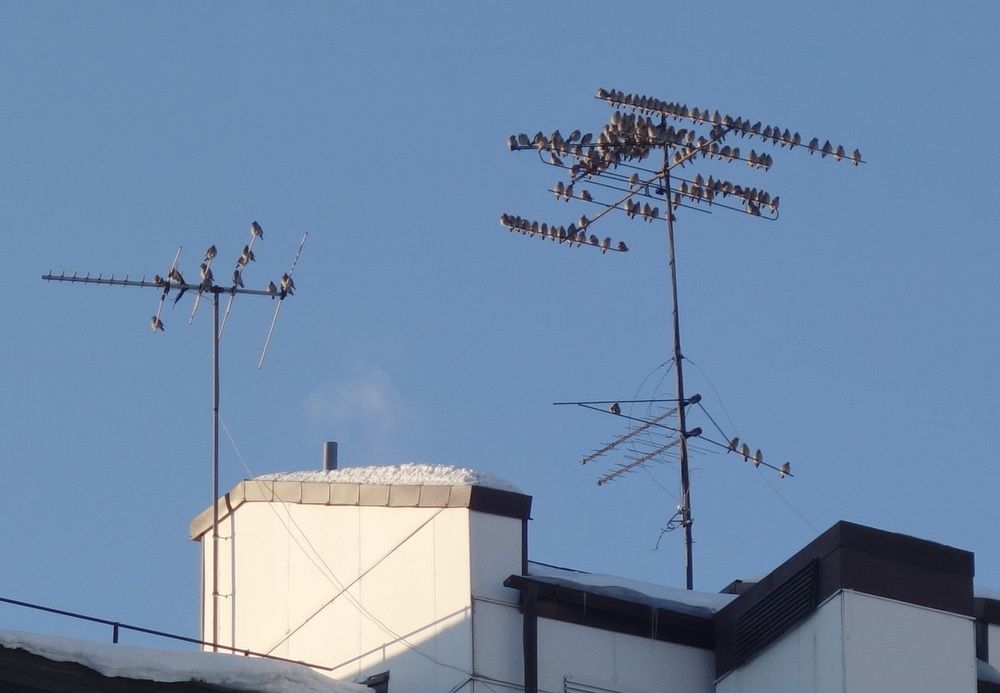 Photograph by Сергей Гребенников