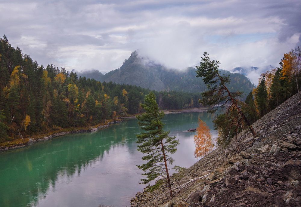 Photograph by Чичкин Валерий