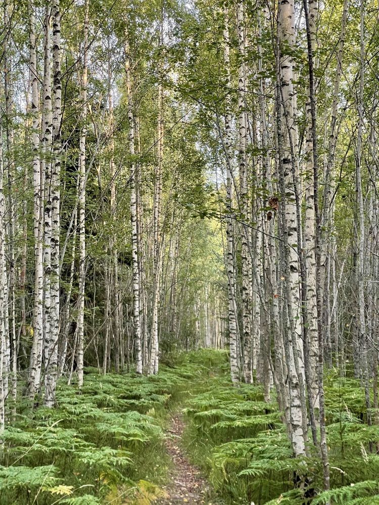 Photograph by Elena Efremova