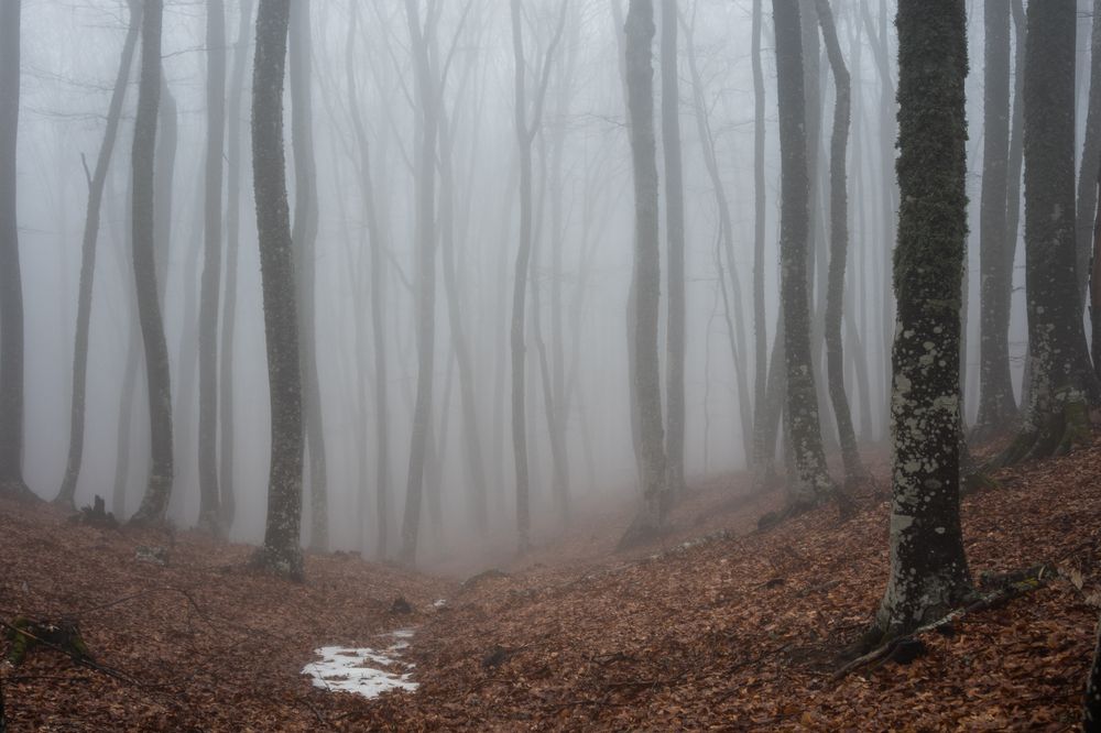 Photograph by Анастасия Григорян