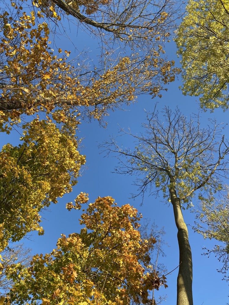 Photograph by Yana Ofitserova