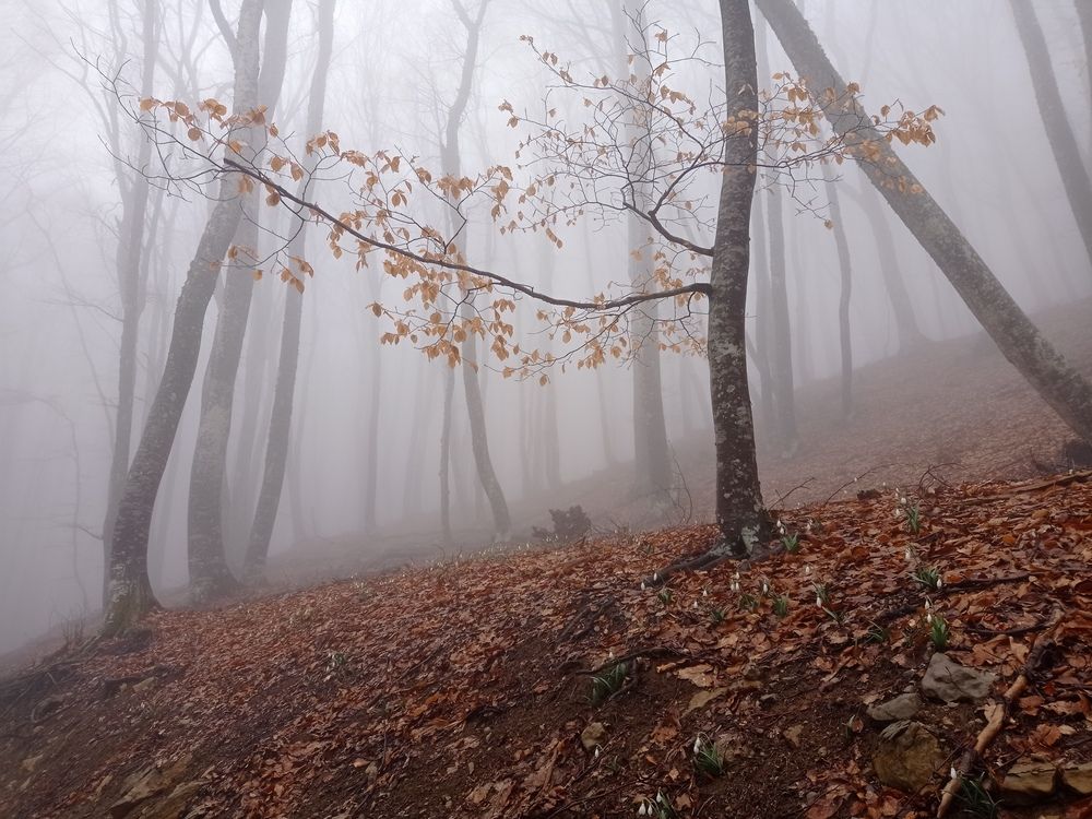 Photograph by Анастасия Григорян