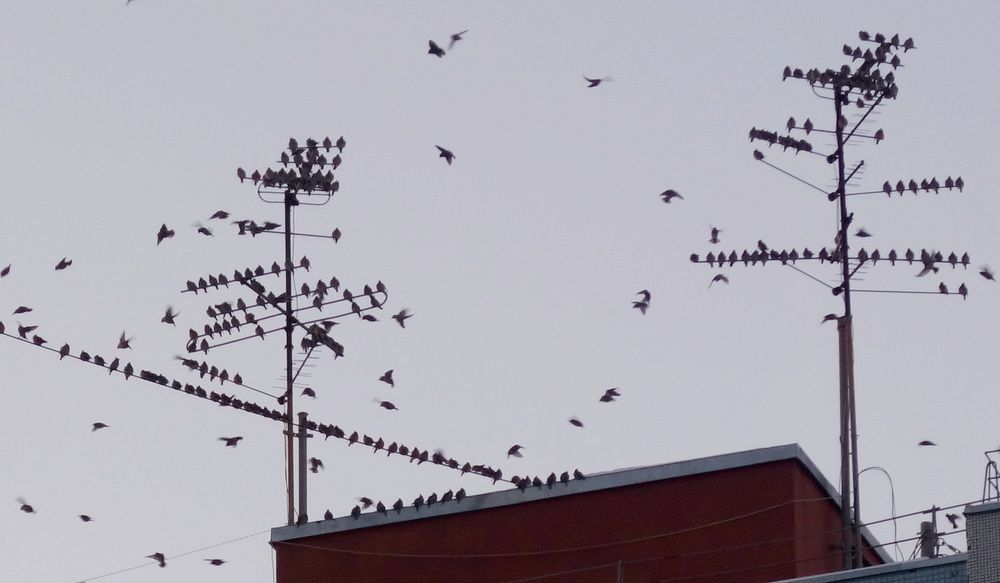 Photograph by Сергей Гребенников