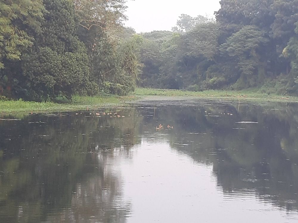 Photograph by Neel Bonna