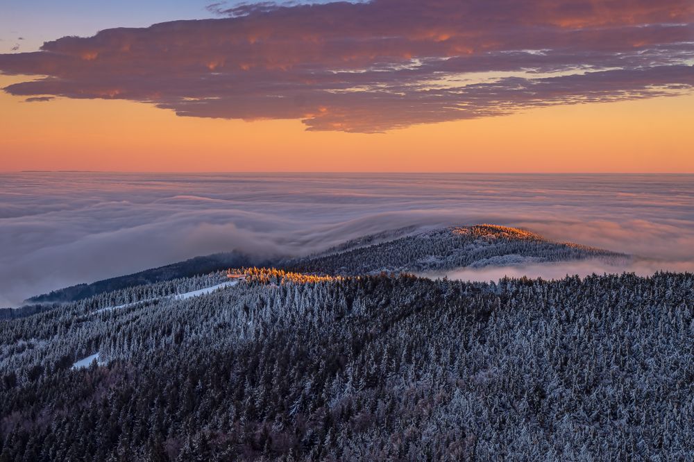 Photograph by Ilona Rosenkrancová