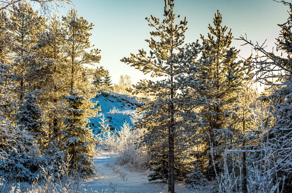 Photograph by Gennadiy Slezkin