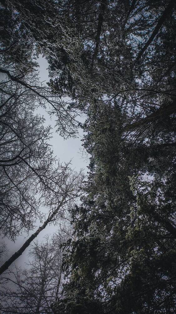 Photograph by Екатерина Никитина