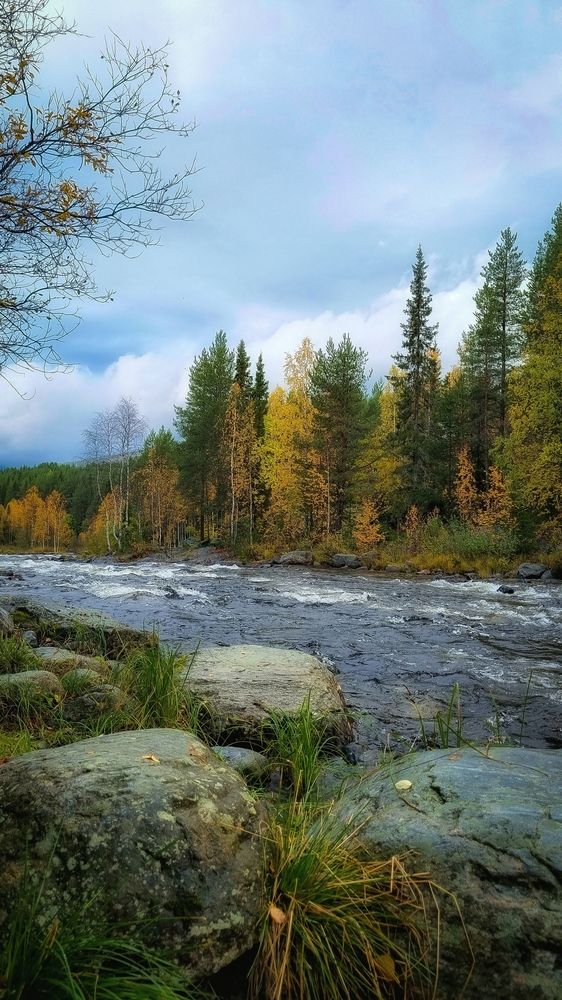 Photograph by Игорь Кабанов