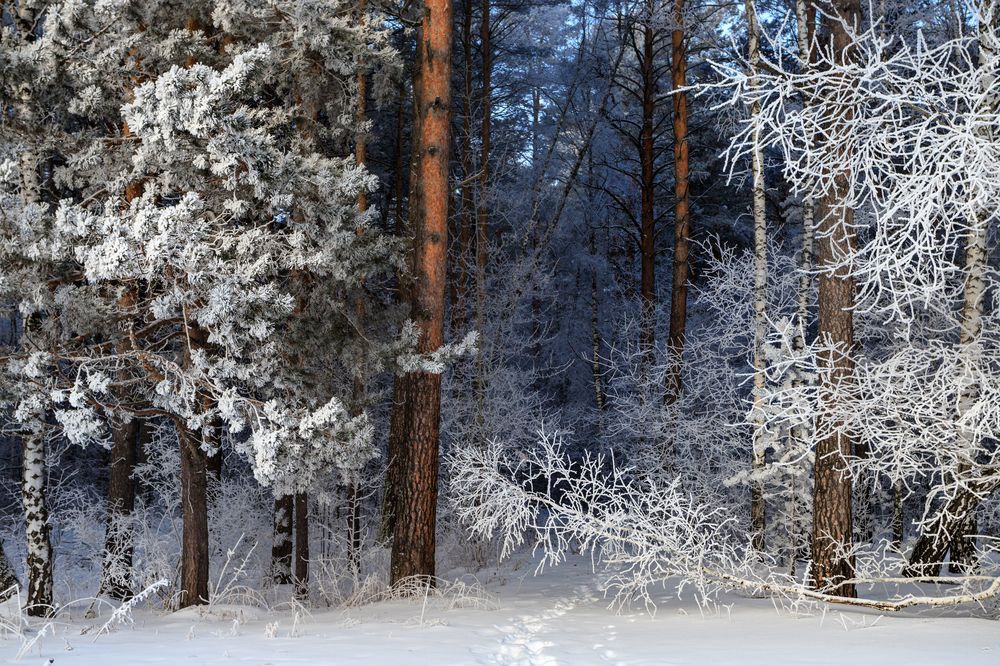 Photograph by виктор ковчин