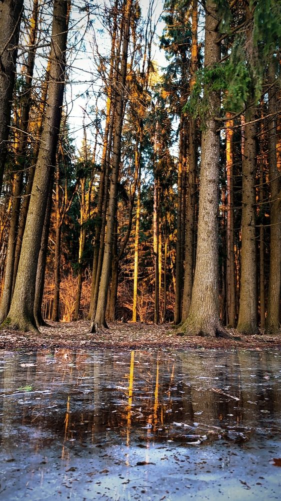 Photograph by Светлана Таркан