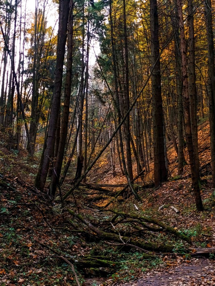 Photograph by Светлана Таркан