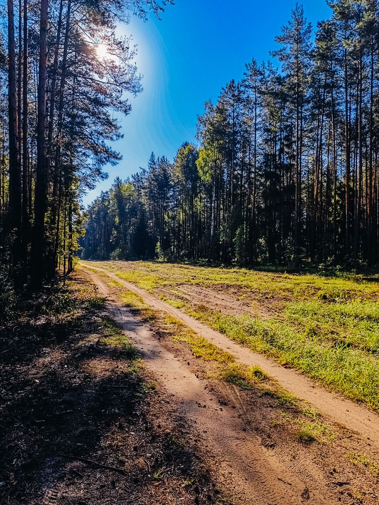 Photograph by Светлана Таркан