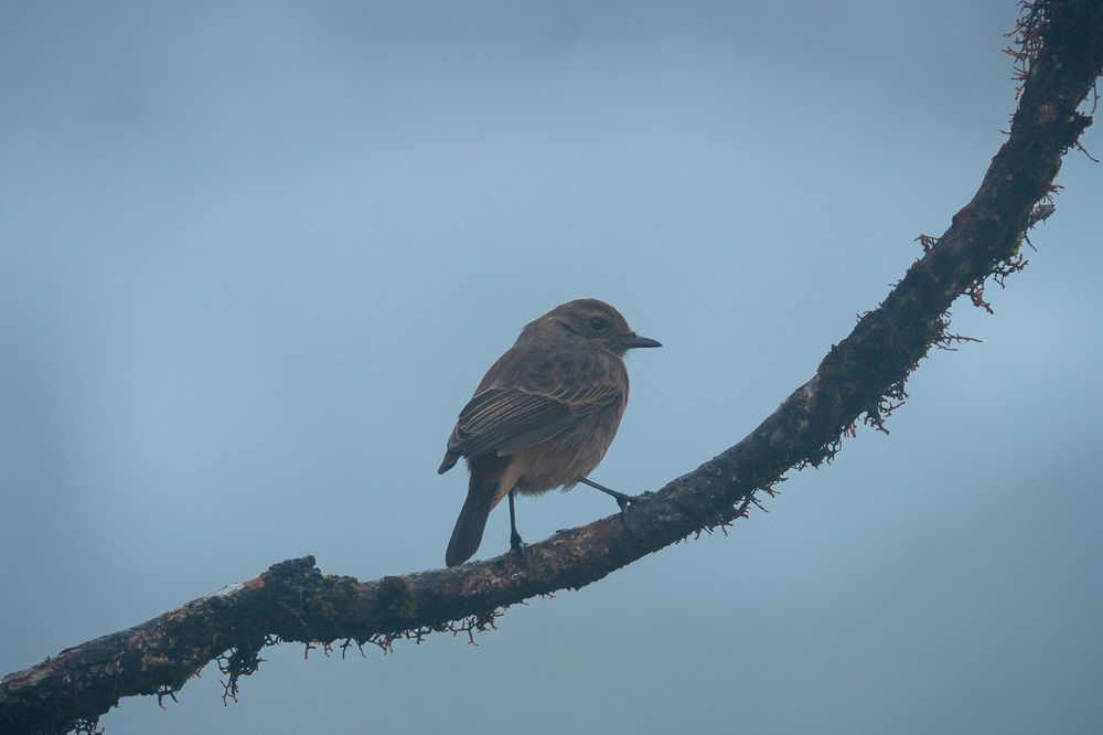 Photograph by Resen Fernando