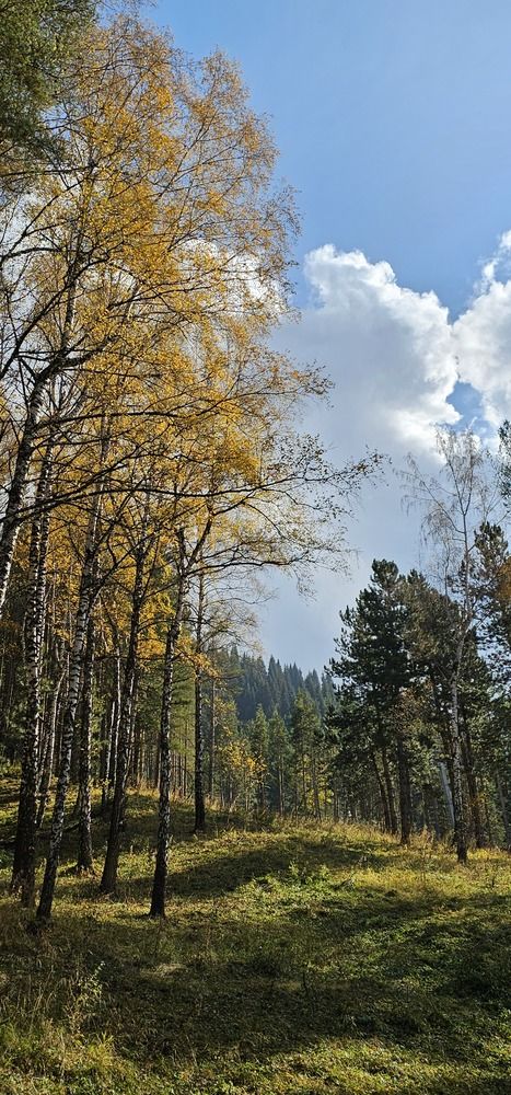 Photograph by Наталья Баранова