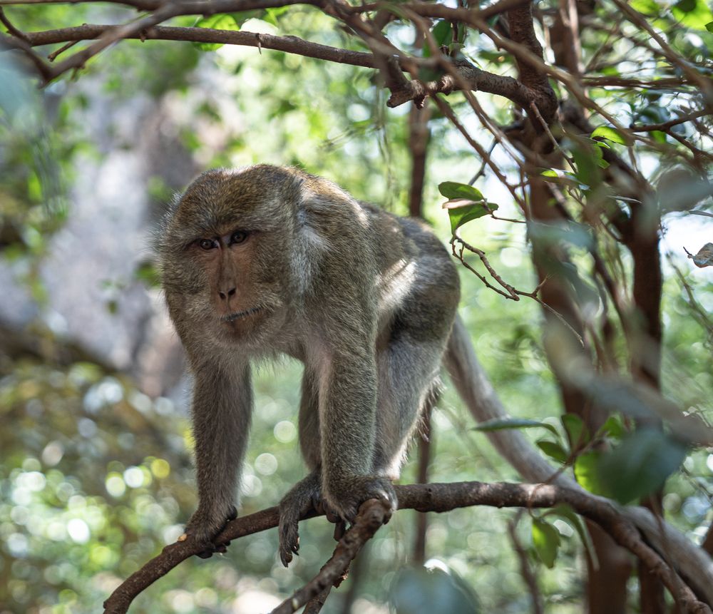 Фотография автора Ирина Голомазова