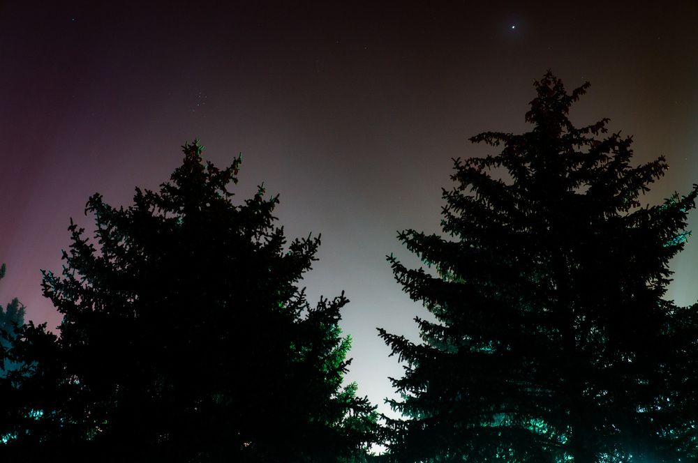 Photograph by Крупченко Роман