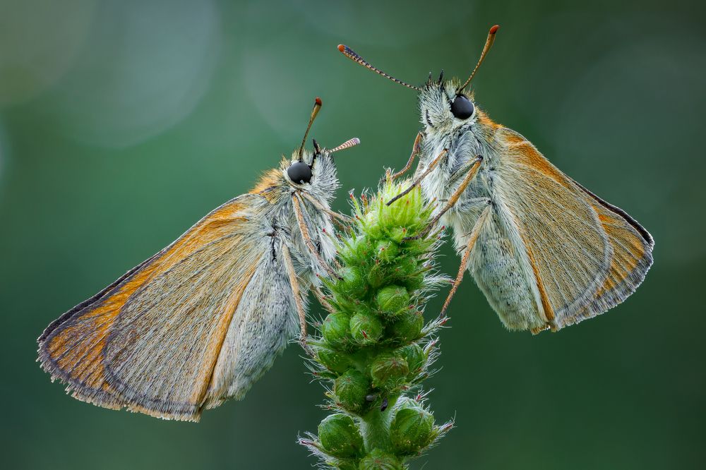 Photograph by Кузнецов Дмитрий