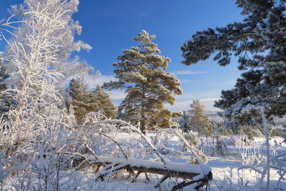 Photograph by Дмитрий Ханхаев