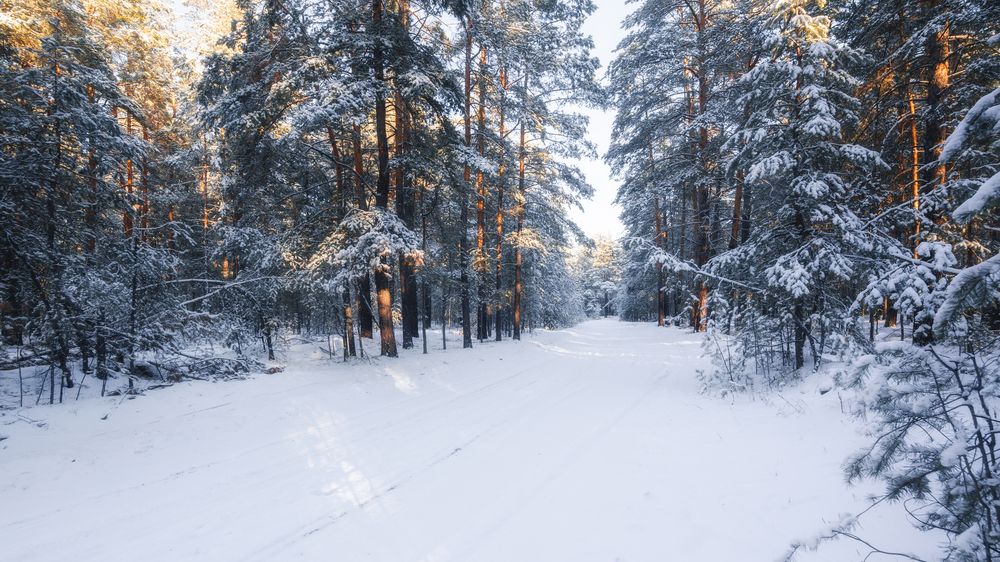 Photograph by Алексеев Саша