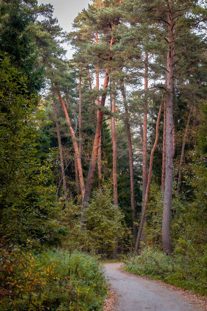 Photograph by Олег Дорошенко