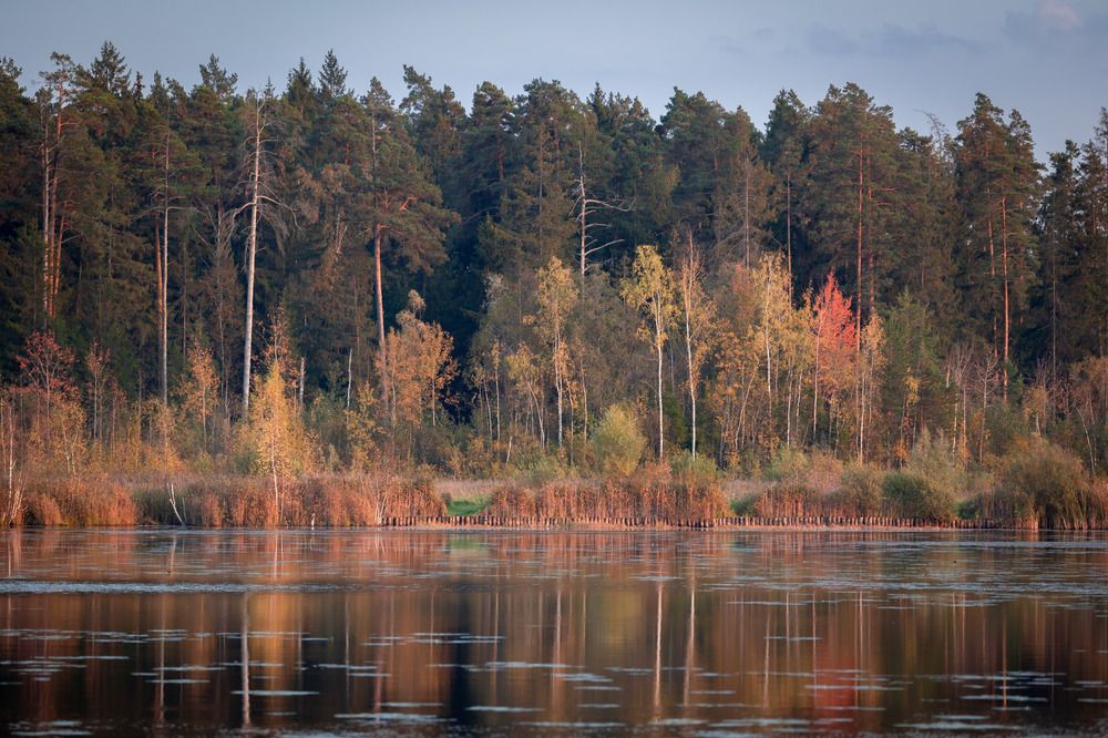 Photograph by Олег Дорошенко