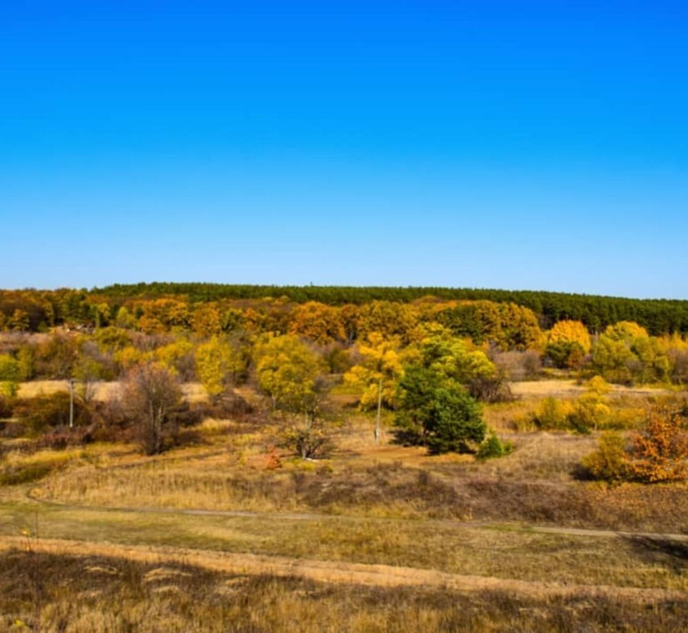 Краски осени