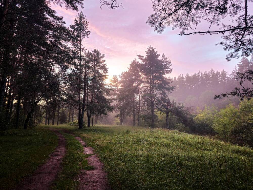 Photograph by Хельга Кольцова