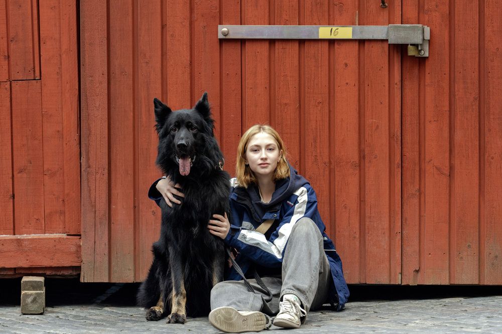 Фотография автора Ruslan Badykov