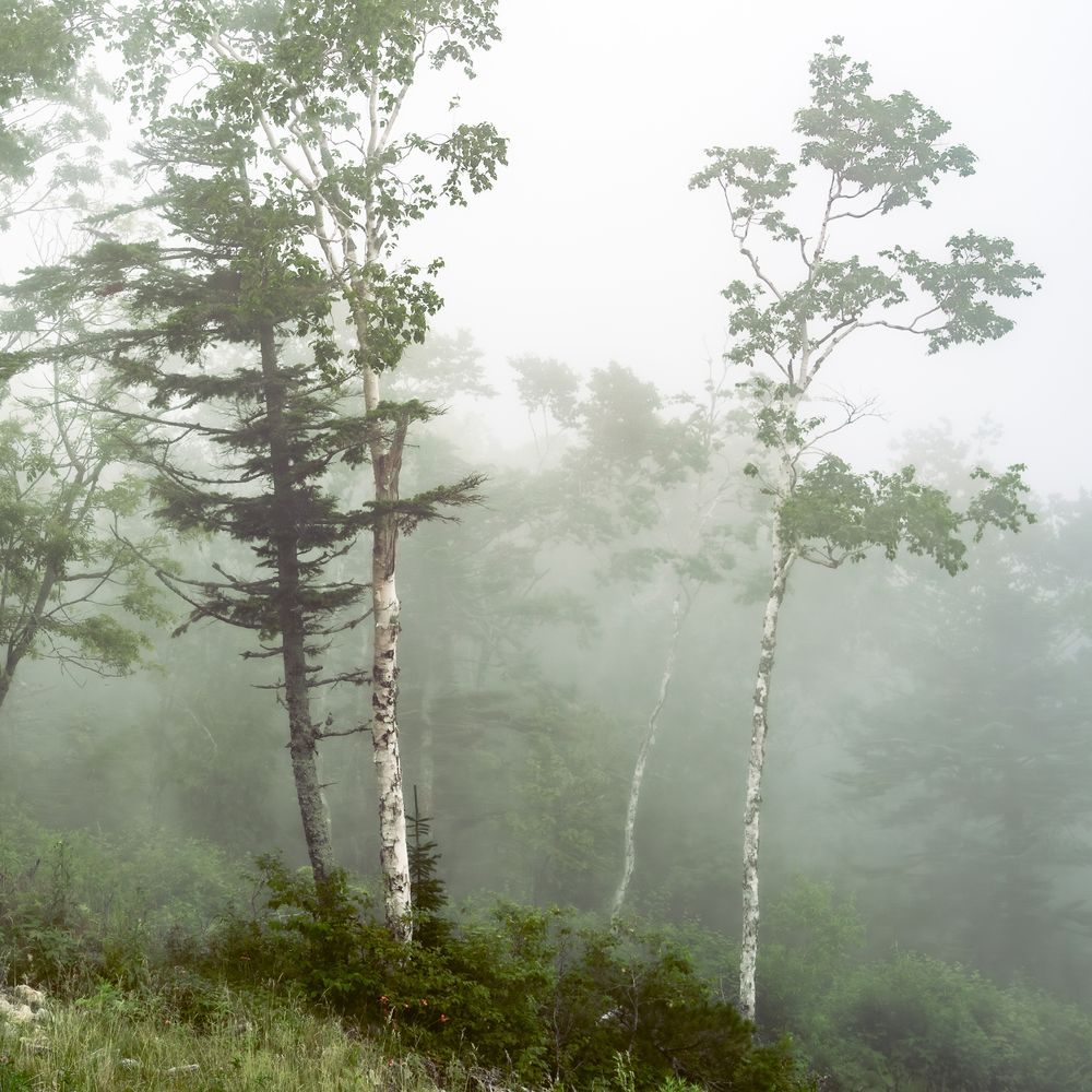 Photograph by Антон Сидоров