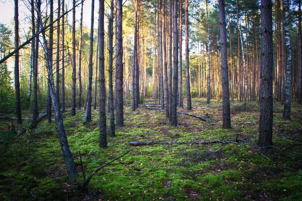 Фотография автора Юлия Кранина