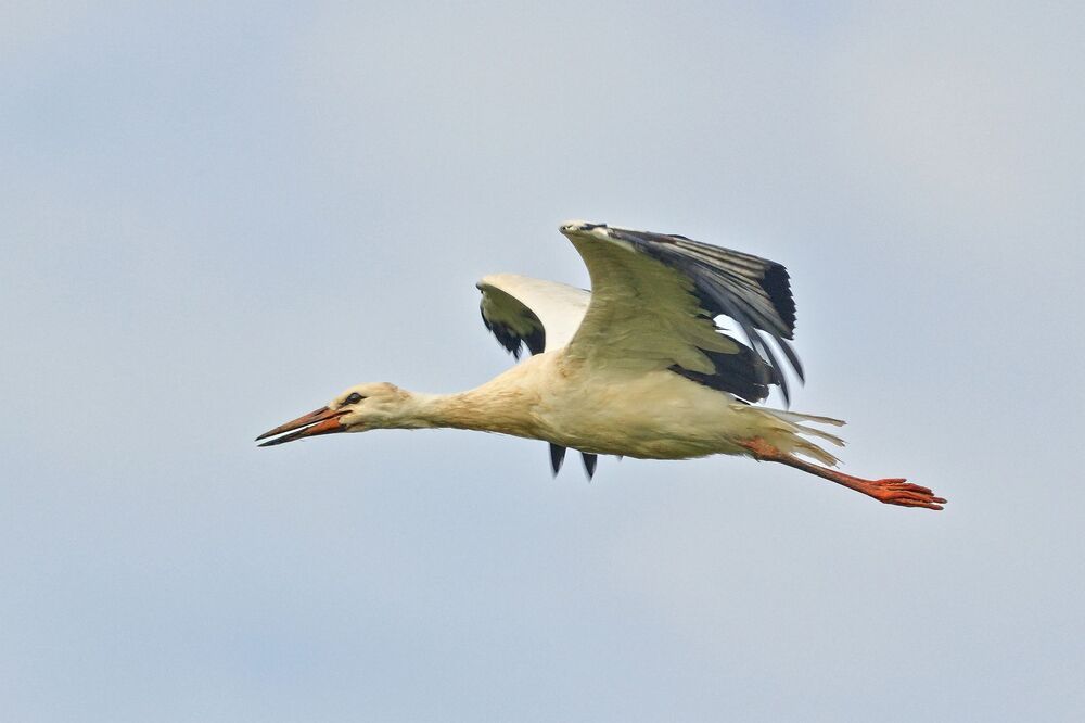 Photograph by Boeva Yuliya