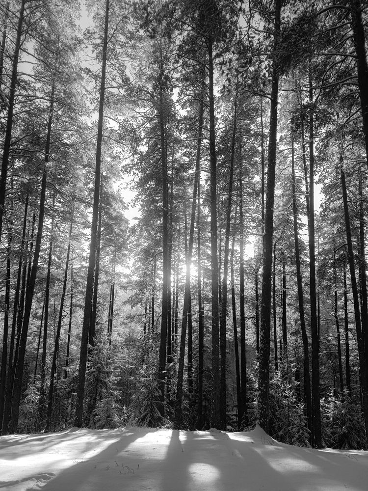 Photograph by Ричард Речицкий