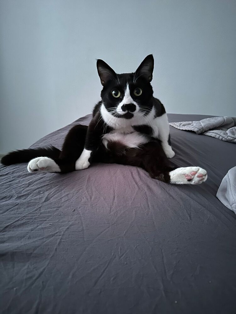 Photograph by Лариса Аркадиевна