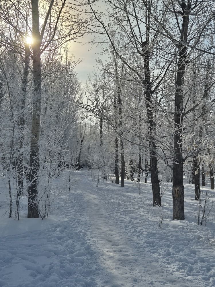 Фотография автора Валентина