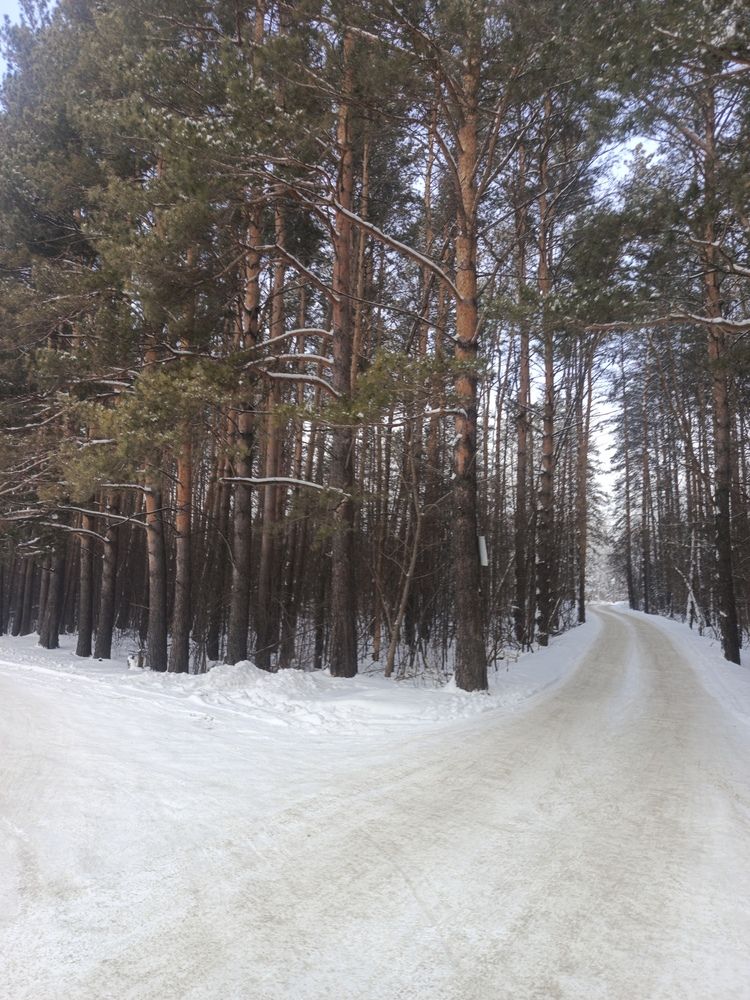 Фотография автора Ольга Петрова
