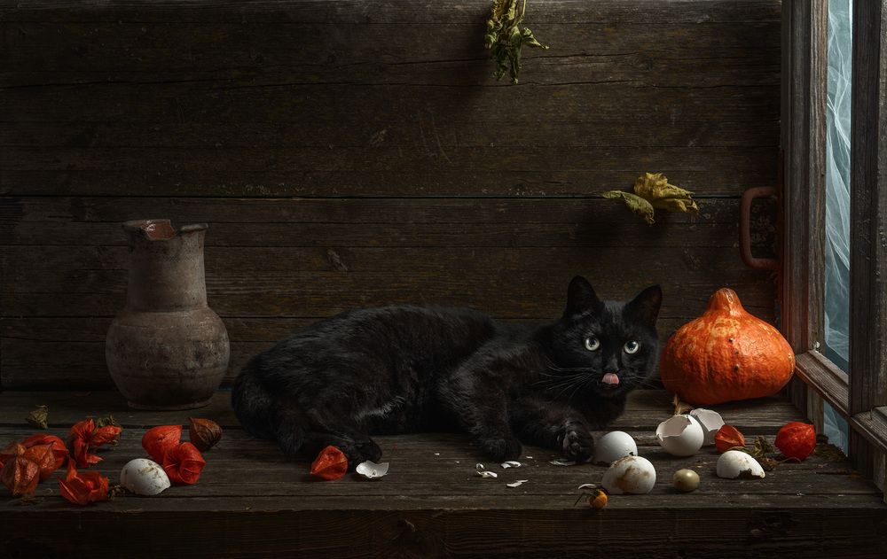 Фотография автора Могилевцева Дарья