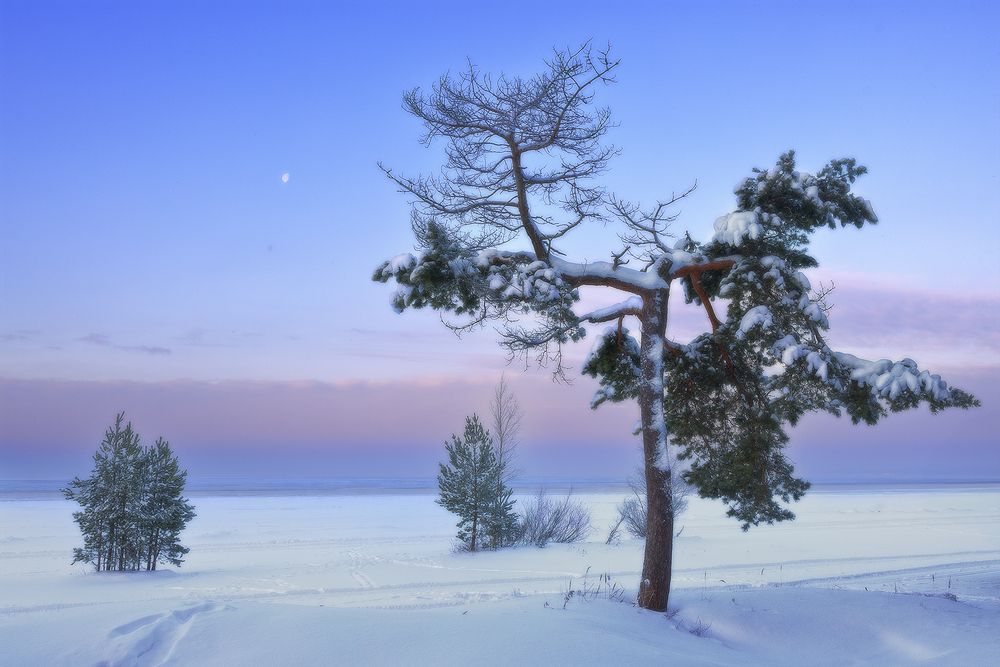 Photograph by Михайлова Елена