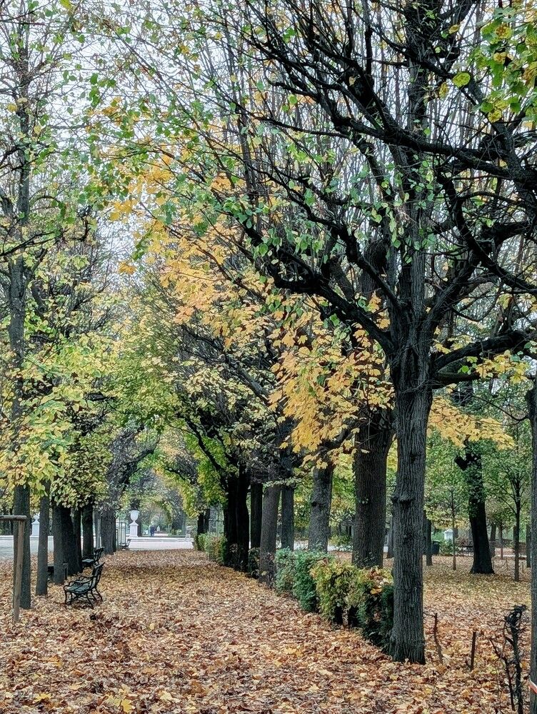 Photograph by Ольга