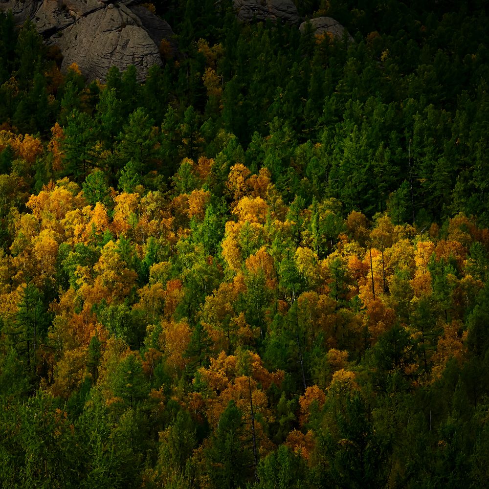 Photograph by Sanj Natsagdorj