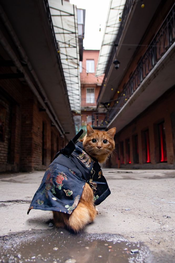 Photograph by Сергей Л