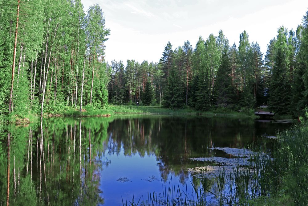 Photograph by Михаил Максимов