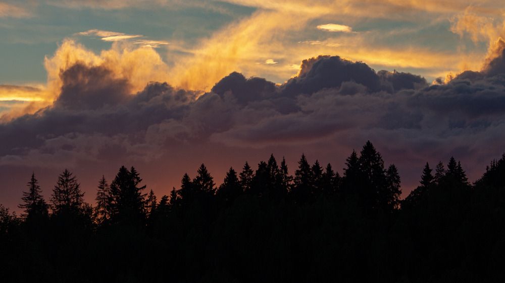 Фотография автора Александр Довганюк