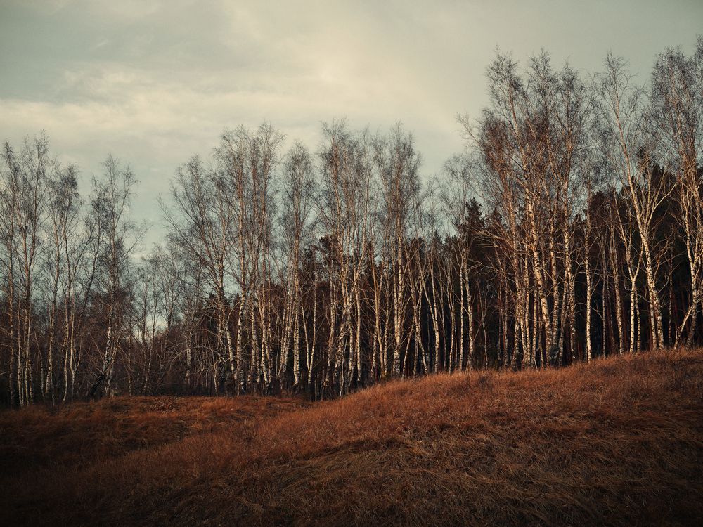 Photograph by Grebnev (DicDoc) Dmitriy