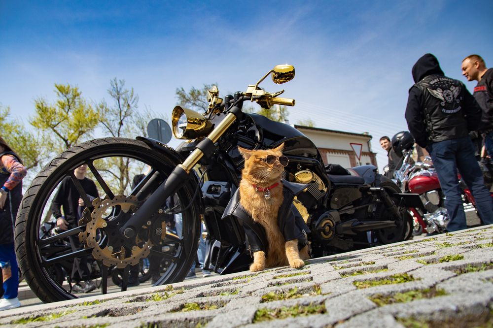 Photograph by Сергей Л